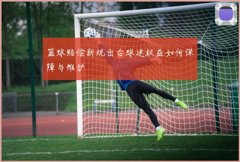 篮球赔偿新规出台球迷权益如何保障与维护