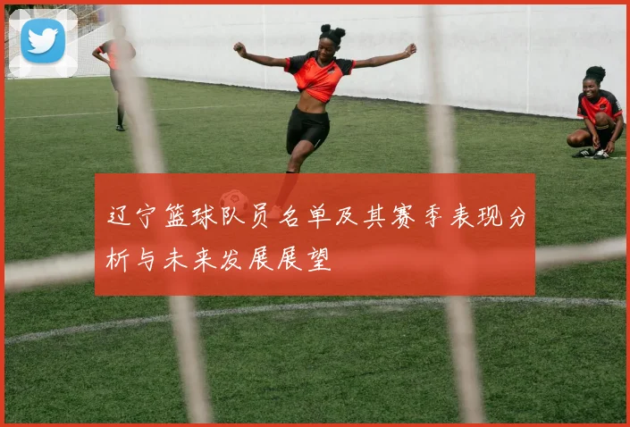 辽宁篮球队员名单及其赛季表现分析与未来发展展望