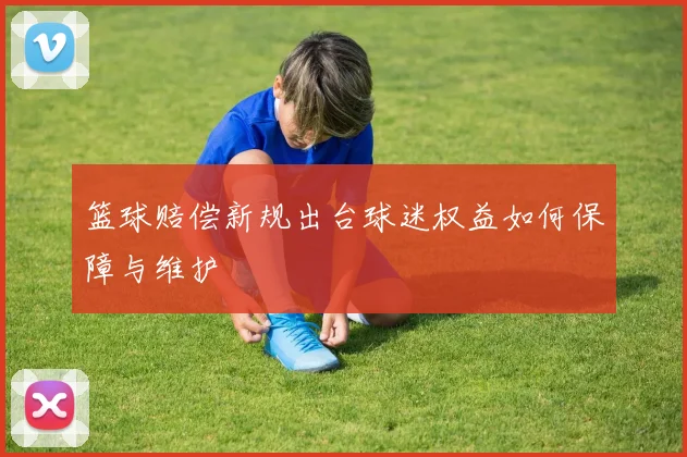 篮球赔偿新规出台球迷权益如何保障与维护