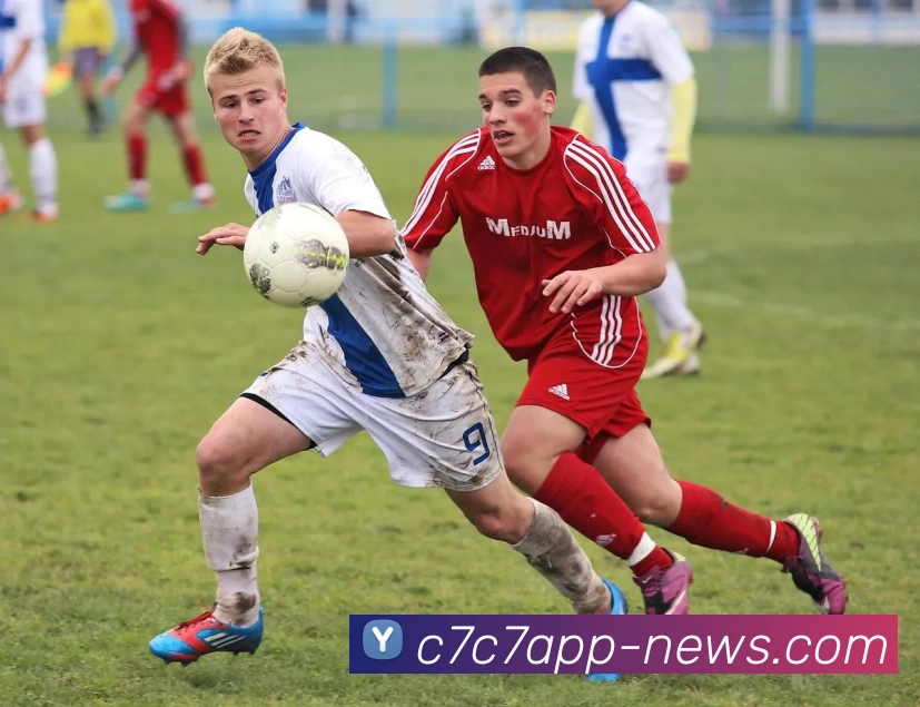 c7官方网站平台生态图